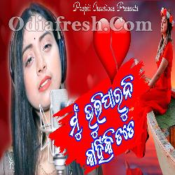 Mun Bhuli Paruni Kahinki Tate - Jyotirmayee Nayak